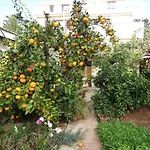 Simicev
