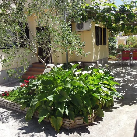 Simicev Ζαντάρ