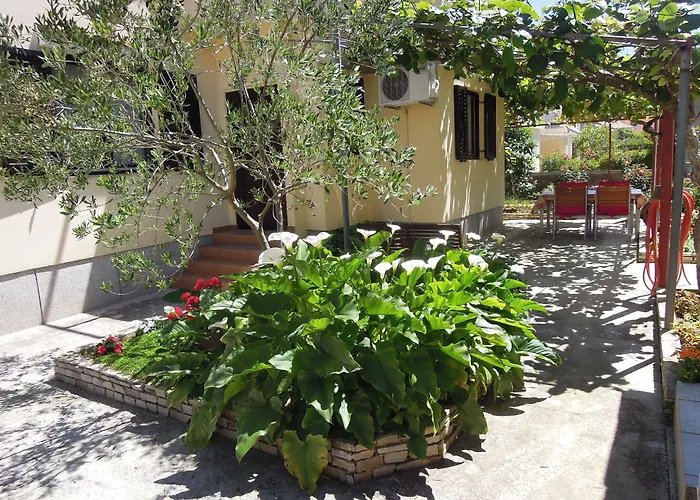 Simicev Ζαντάρ