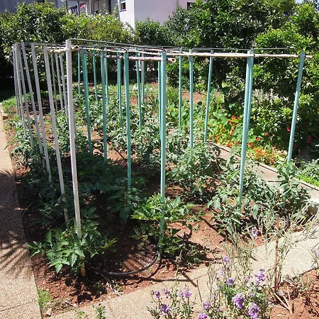 Simicev Апартаменты