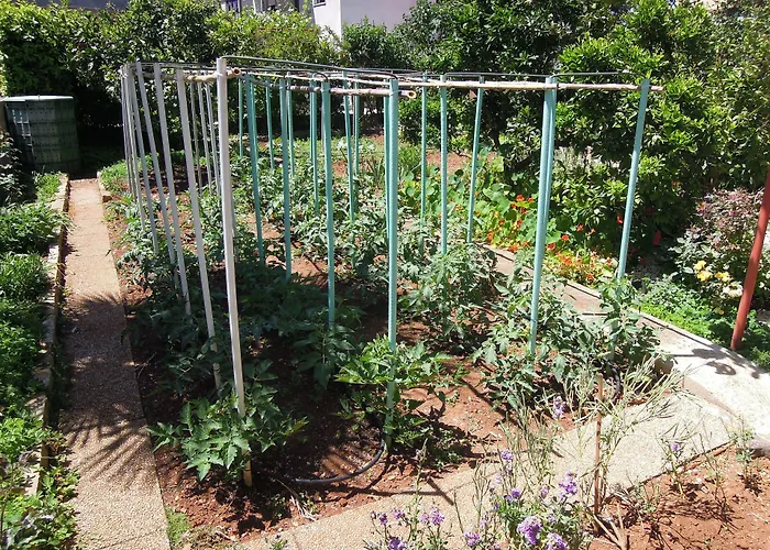 Simicev アパート